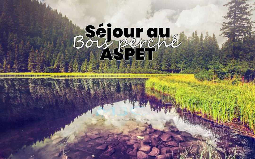 Séjour au Bois Perché – ASPET